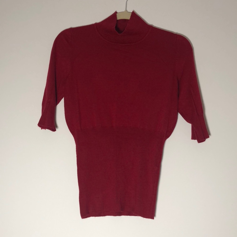 Express Short Sleeve Turtleneck Sweater